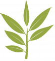 Logo for Gaia Project Australia Pty Ltd