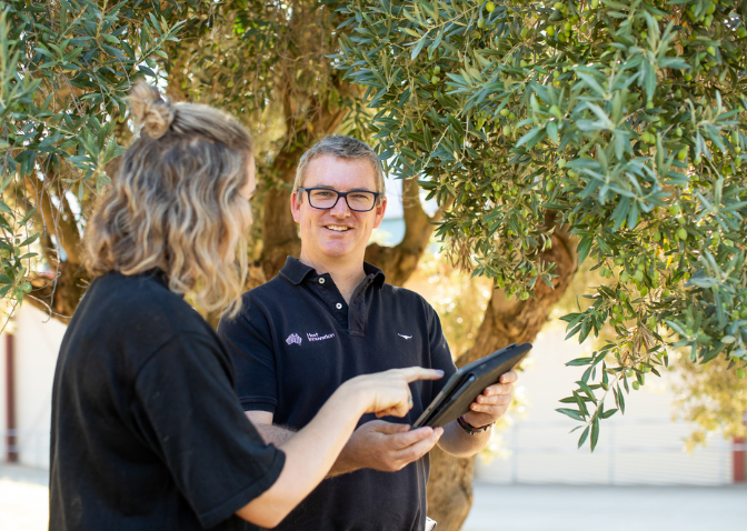 Adrian and woman under a tree having a discussion looking at ipad