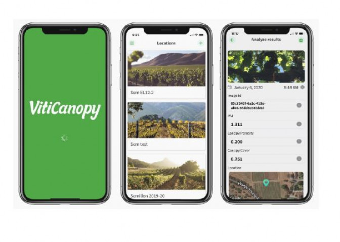 demonstration of the VitiCanopy app, a portable tool to assess canopy size and vineyard variability, on iphone